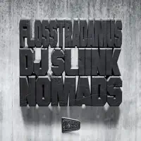 Test Me — DJ Sliink & Flosstradamus