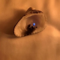 sandman - Single - soba star