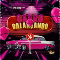 Carro Balançando - Single - Petter Ferraz, Mc Mary Maii & DJ Biel Bolado