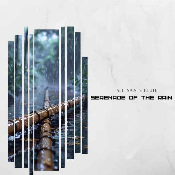 Serenade of the Rain: Enchanted Flute Echoes Beneath the Whispering Canopy of an Ancient Forest