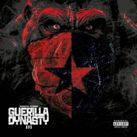 Guerilla Dynasty 3 - Recognize Ali & Stu Bangas