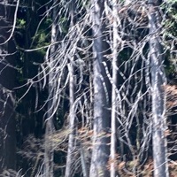 Track #1 (feat. Edubs) - Single - g3ne