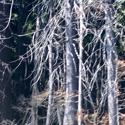 Track #1 (feat. Edubs) - Single