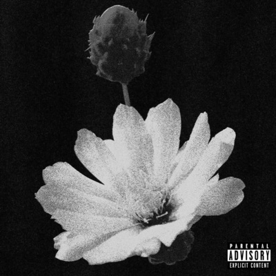 DAYBREAK (Instrumental) - Single