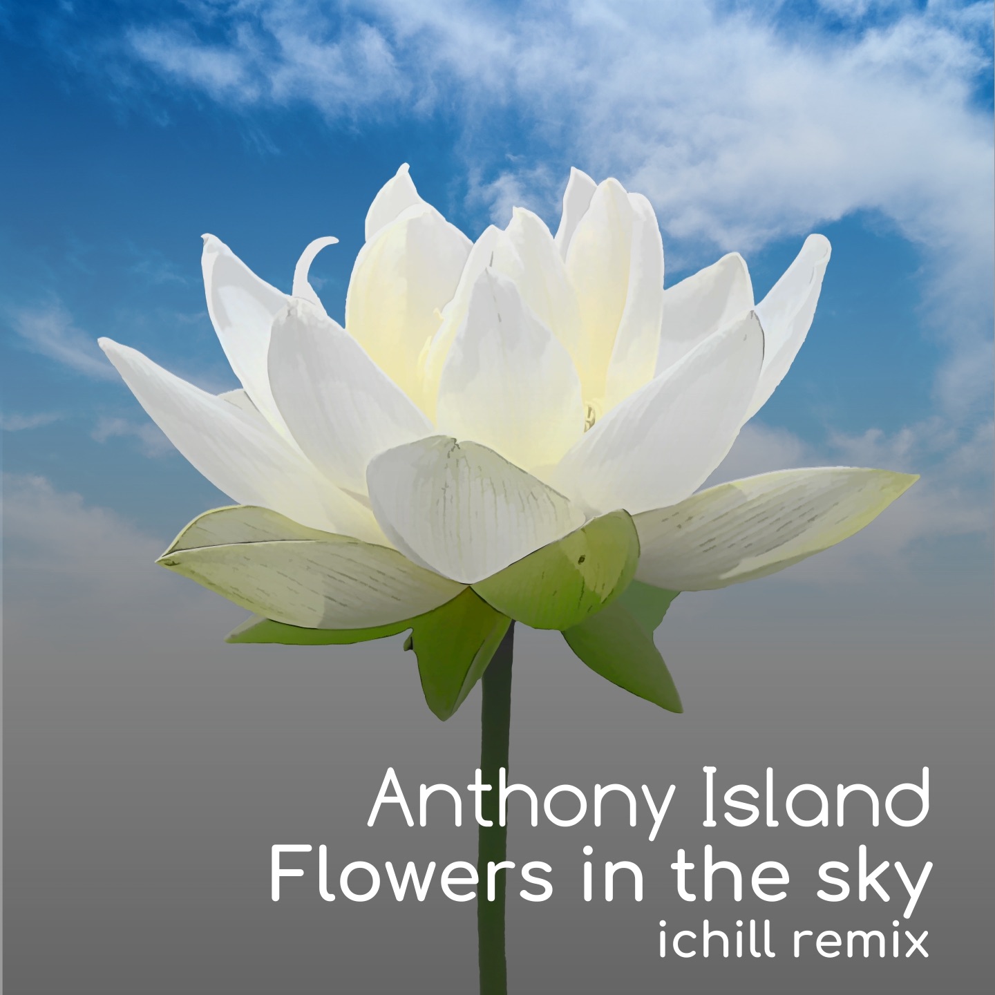 Flowers in the sky (Ichill Remix) - Single