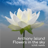 Flowers in the sky (Ichill Remix) - Single - Anthony Island