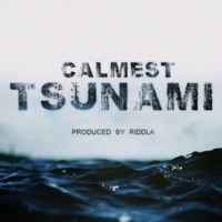 CALMEST TSUNAMI (feat. Riddla) - Single - Fonzse