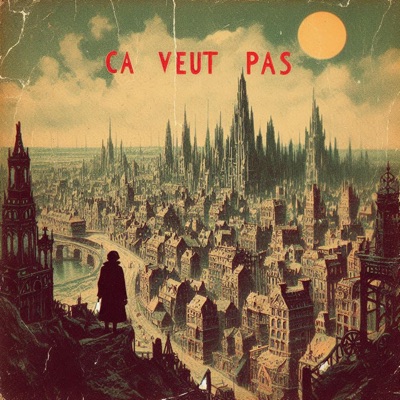 Ça veut pas (feat. Inaudible) - Single