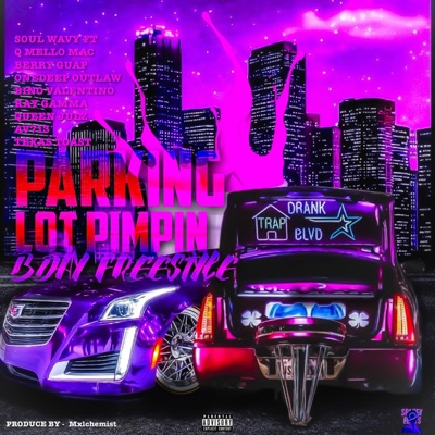 Parking lot Pimpin/Bday Freestyle (feat. Av713, Q’ mello Mac, Bino Valentino, Berry Guap, OneDeep Outlaw, Ray Gamma, Queen Julz & Texas Toast) - EP