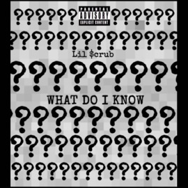 What Do I Know Lil $crub