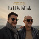 Ha újra látlak artwork