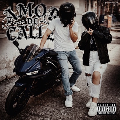 AMOR DE CALLE (feat. La Güerita) - Single