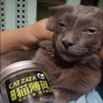 JYRI_DISSTRACK_2.mp3 - Single