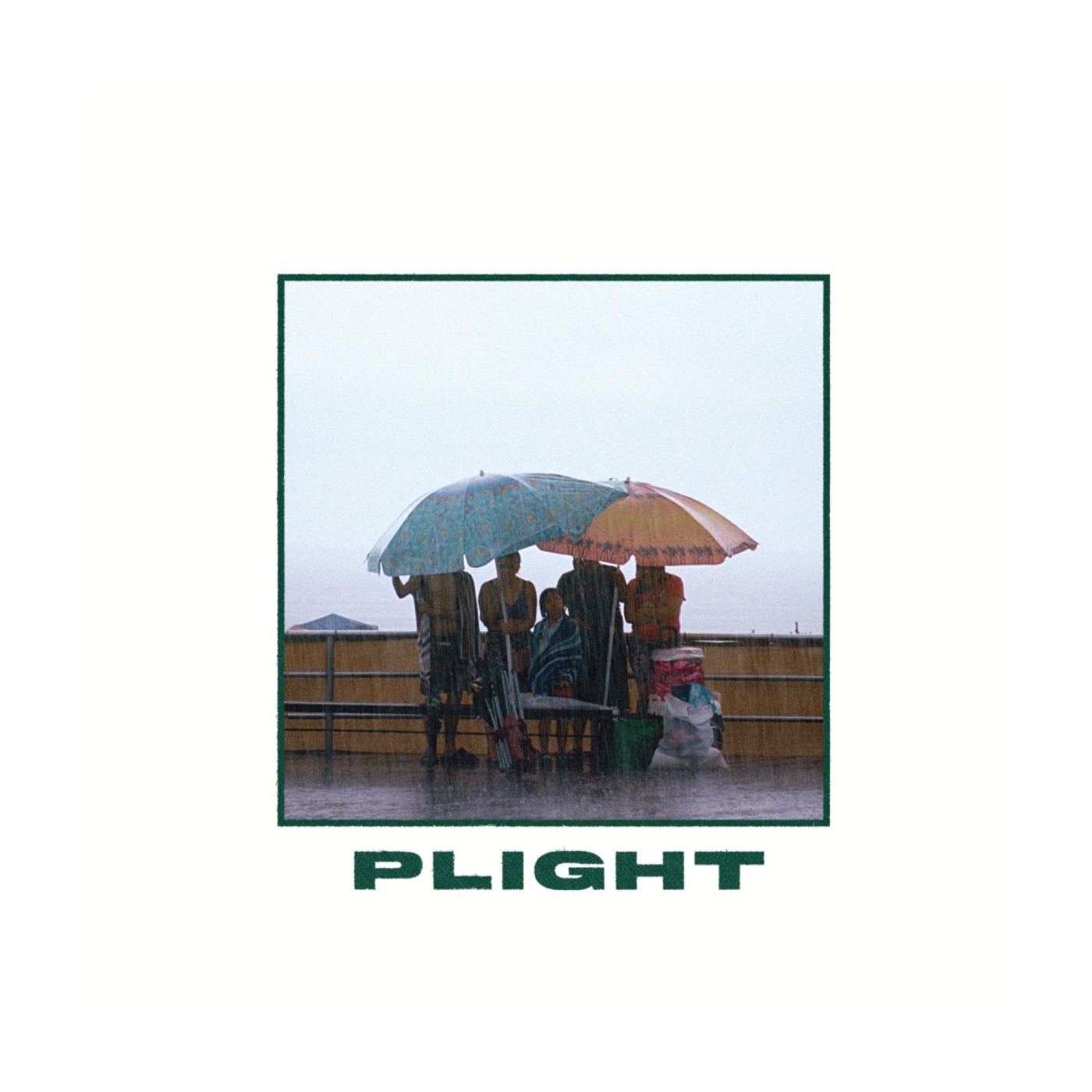 Plight by Plight