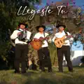 llegaste tu