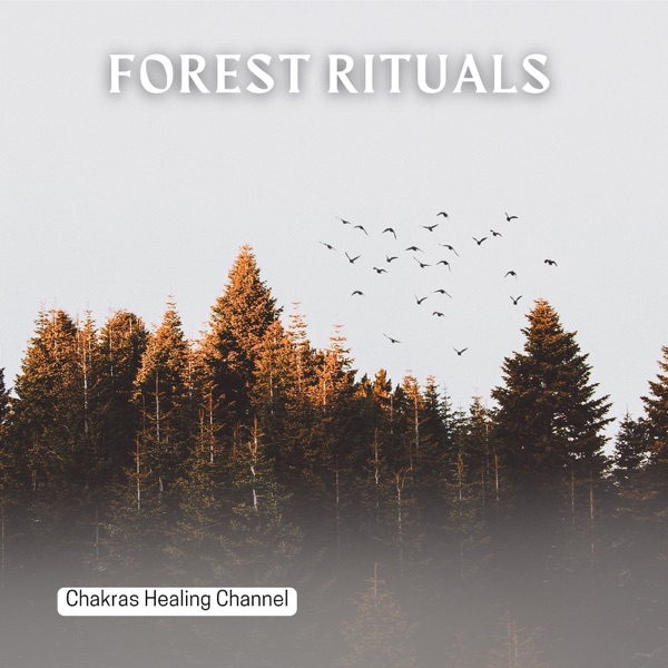 Forest Rituals: Tribal Soundscapes