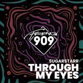 Through My Eyes (Sergio Flores Radio Mix) artwork