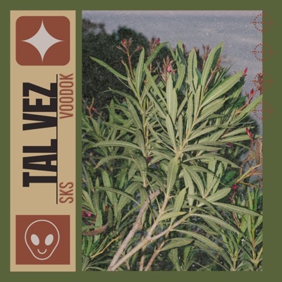 Tal vez (feat. voodok) - Single