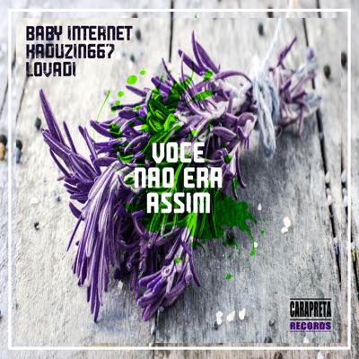 Você Não Era Assim - Single