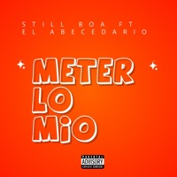Meter Lo Mio (feat. EL Abecedario) - Single - Still Boa