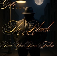 How You Been Feeling? (Slowmix) - Single - $hAUN GOTTE