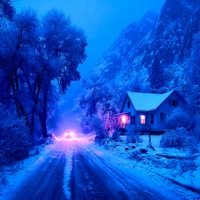 february - EP - D.P.