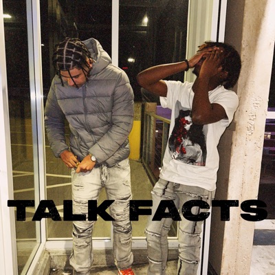 Talk Facts (feat. Don’t Disturb Dee) - Single