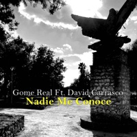 Nadie Me Conoce (feat. David Carrasco) - Single - Gome Real