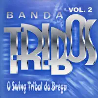 Gaguinho Do Brega — BANDA TRIBOS