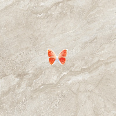 mariposas - Single