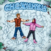 Снежинки - Single - Testosterovich