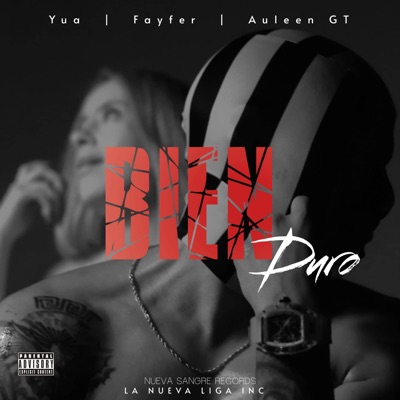 Bien Duro (feat. Fayfer & Auleen GT) - Single