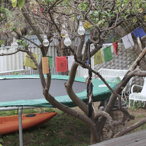 Trampoline - Single