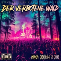 Der verbotene Wald - Sitte & MODUS STEIFHIGH