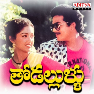 Thodallullu (Original Motion Picture Soundtrack) - EP