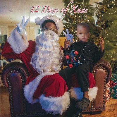 12 Days of Xmas