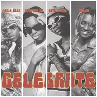 Celebrate (feat. Deestar ZA, Bite Starr & Molze) - Single - kevin cash
