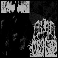 Dear Lifeless, - R!Plifeless