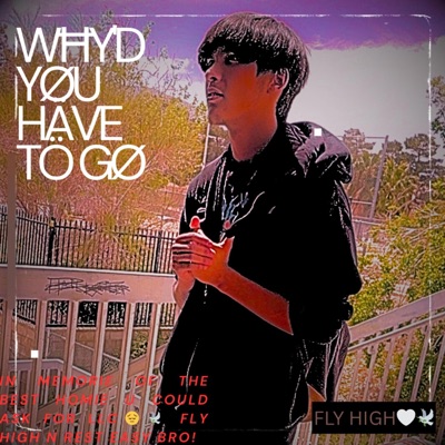 Wħy'd Yøu Have Tö Gø. - Single