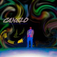 Canelo (Figure It Out) (feat. 22x & Brodie Bishop) - Single - FACEMELT