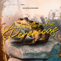 Automotivo das Pererecas (feat. Mc 4R) - Single - DJ MAZAKI & MC MN