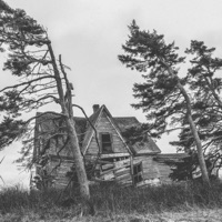 Supposed To Last - Single - Lonely Playboy