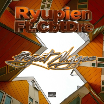 Project Niggas (feat. CbtDre) - Single