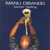 Manu Dibango Bolingo City Kamer Feeling