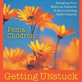Getting Unstuck: Breaking Your Habitual Patterns and Encountering Naked Reality