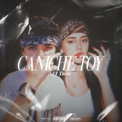 CANICHE TOY - Single