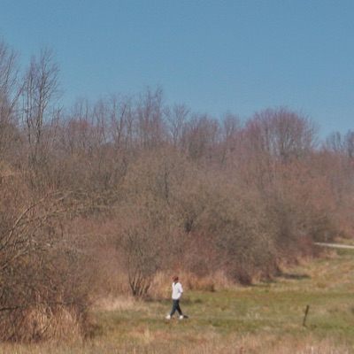 Peaches and Cream - Single