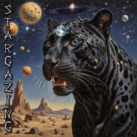 S T A R G A Z I N G (feat. Rick G & MixedByBlitz) Ɱorphica