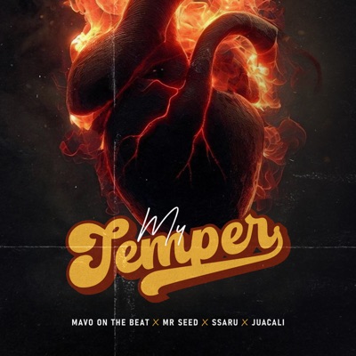 My Temper (feat. Ssaru, Mr Seed & Juacali) - Single