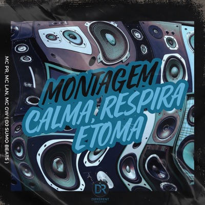 Montagem (Calma Respira e Toma) [feat. DJ JHENNY & Dj SuMo Beats] - Single